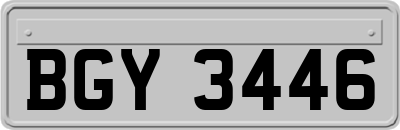 BGY3446