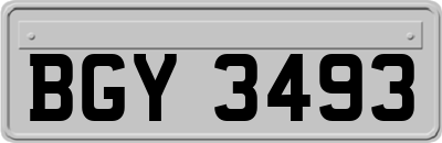 BGY3493