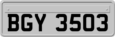 BGY3503