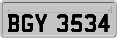 BGY3534