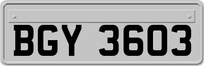 BGY3603