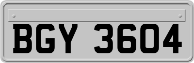 BGY3604