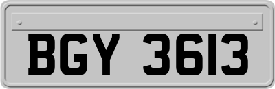 BGY3613