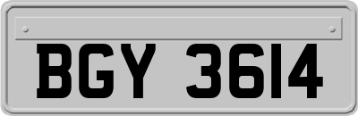 BGY3614