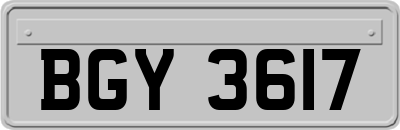 BGY3617