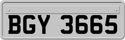 BGY3665