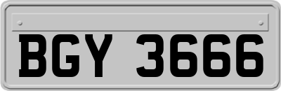 BGY3666