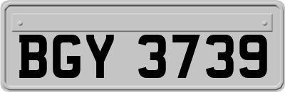 BGY3739