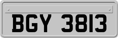 BGY3813