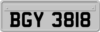 BGY3818