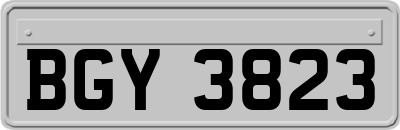 BGY3823