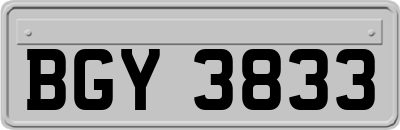 BGY3833