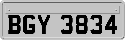 BGY3834