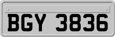 BGY3836