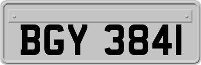 BGY3841