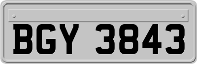 BGY3843