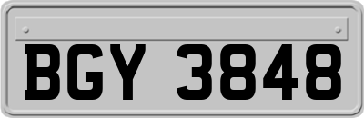 BGY3848