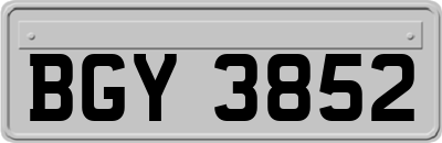 BGY3852