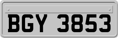 BGY3853