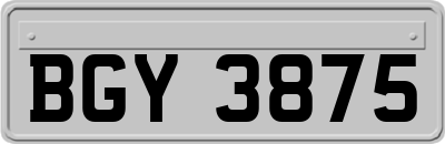 BGY3875