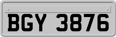 BGY3876