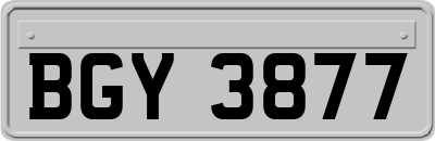 BGY3877