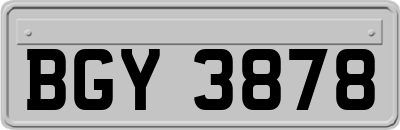 BGY3878