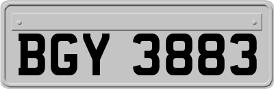BGY3883