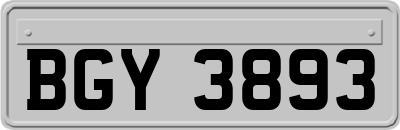 BGY3893