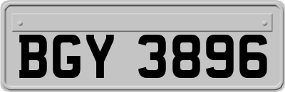 BGY3896