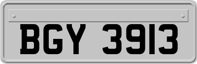BGY3913