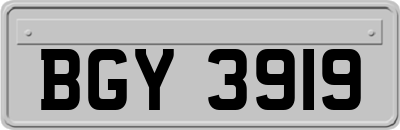BGY3919
