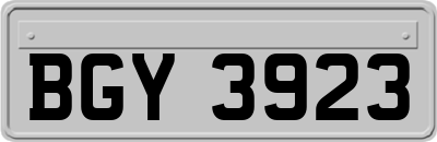 BGY3923