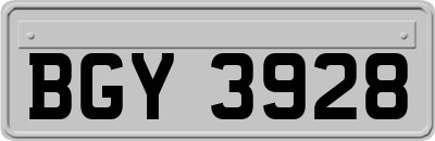 BGY3928
