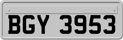BGY3953