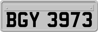 BGY3973