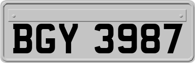 BGY3987