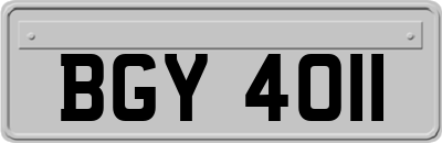 BGY4011