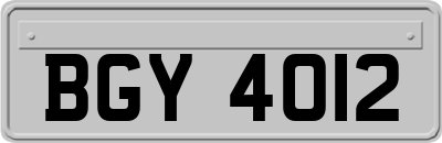 BGY4012