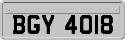 BGY4018