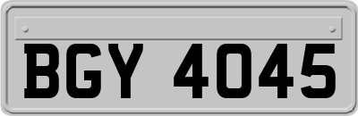 BGY4045