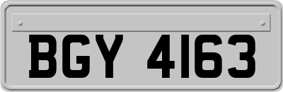 BGY4163