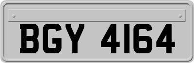 BGY4164
