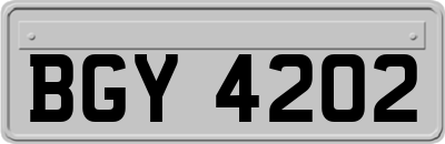 BGY4202