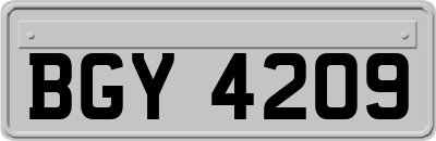 BGY4209