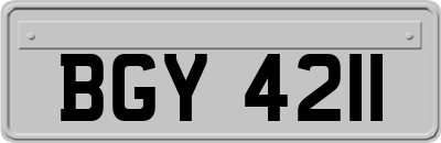 BGY4211