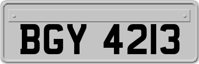 BGY4213