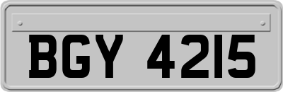 BGY4215
