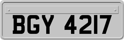 BGY4217