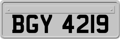 BGY4219